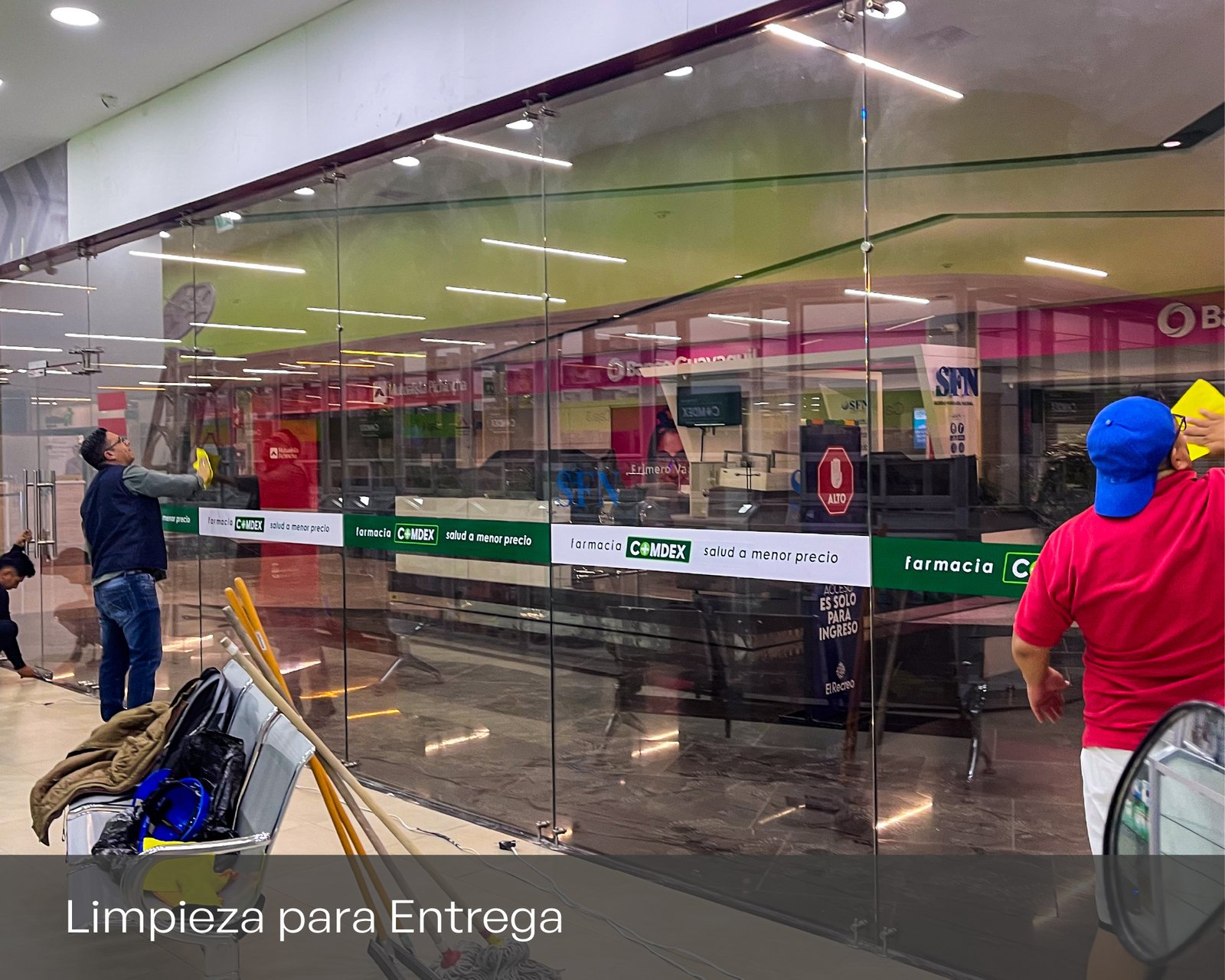 Galería 15